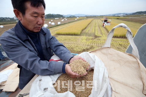 농식품부, 쌀 목표가격 18만8192원 제시…국회에 공 넘겨