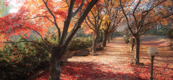  볼거리·체험거리·먹거리 가득한 ‘11월의 잔치상