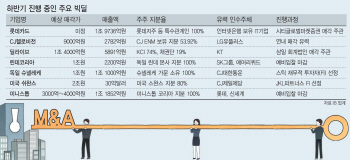 [마켓인]하반기 남은 빅딜, '키맨'은 사모펀드 아닌 대기업