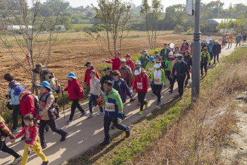 "걷기도 축제다"…단풍에 물든 가을을 걷다