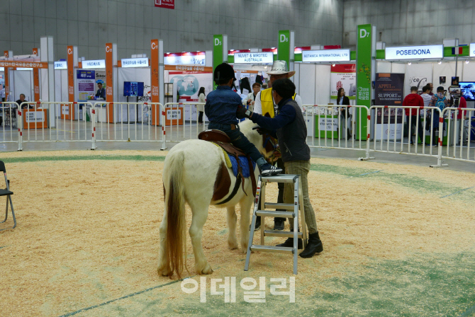 서울 강남서 국내 최대규모 말산업 박람회 열린다