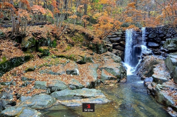 신선이 살 것 같은 지리산청학선원 `삼성궁`