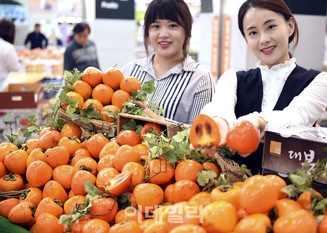 [포토] 농협유통, 전남 영암 대봉시 선보여