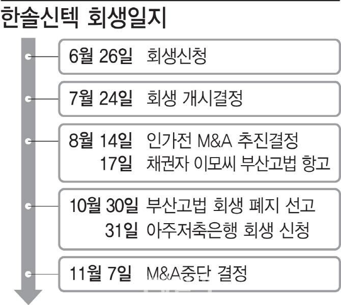 개인채권자 불복소송에..법정관리` 신텍 M&A중단