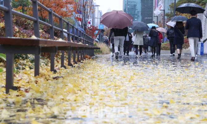 [포토]'가을 보내는 비'