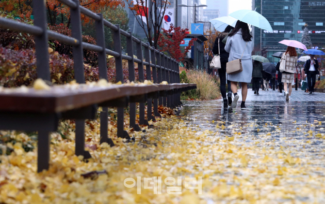 [포토]'가을아 잘가'