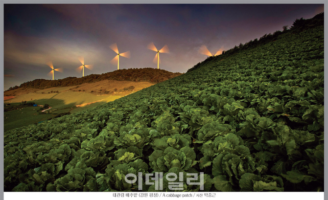 [포토] '한국의 산하'를 포토 다이어리에..