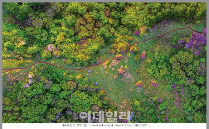 [포토] '2019 한국의 산하' 주간 캘린더