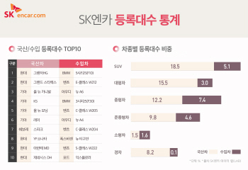 “중고차 판매, 그랜저·5시리즈 2년 연속 1위”