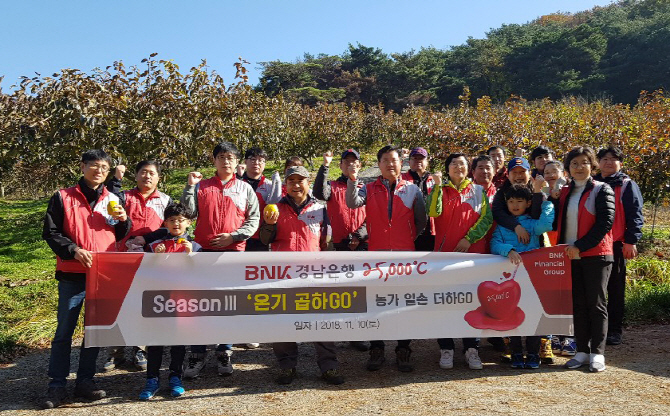 BNK경남은행 "단감 수확·월동 준비 등 농가 일손 도와"