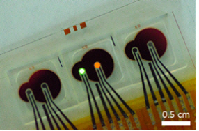 심박-산소포화도 센서에 OLED-OPD 접목한 KAIST 연구진