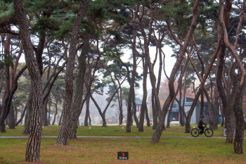 만추의 절경으로 빛나는 영동