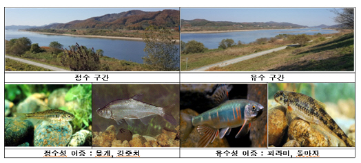 금강 3개보 완전 개방 뒤 유속 증가…녹조·생태계 개선