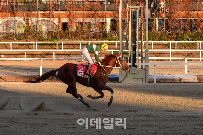 누적 상금 38억원, '트리플나인' 신기록 도전기