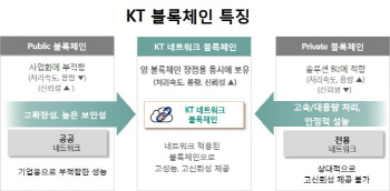 라인, 카카오와 다른 KT 블록체인 전략...네트워크 블록체인 실체는
