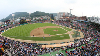 대전시민들 숙원사업인 독수리 새 둥지 짓기 스타트