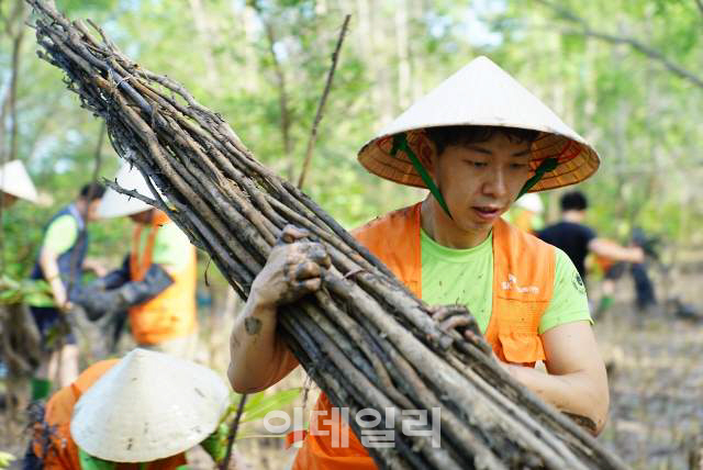 SK이노, 맹그로브 숲 복원 위해 베트남에 사회적기업 설립