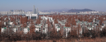 이주비 대출 막힌 반포주공1단지, 가격 뚝