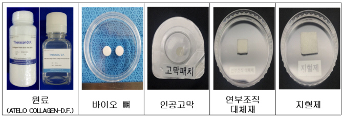 버려지던 오리발 생체의료소재로 거듭난다