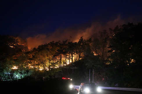 산림청, 29일 지자체 산불 재난관리 역량강화 교육