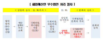 文의장, 정부 종부세법안 등 예산부수법안 28건 지정