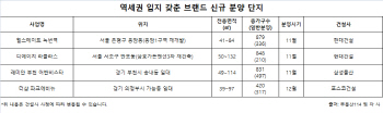 역세권 브랜드 아파트, 분양시장 흥행 성공법칙