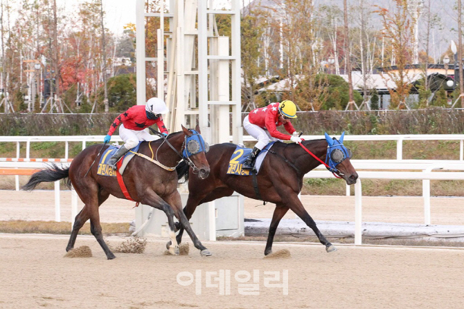 [경마이야기]서울 vs 부산 박빙승부 예고.. 국내 최고 2세마 가린다