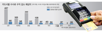 수수료 인하에 카드사 순익 3000억원 줄 듯…마른수건 쥐어짜기 '골머리'