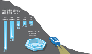 금리인상에도 금융株 일주일새 7% `뚝`…약발 다했나