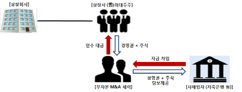 금감원, `기업사냥꾼` 무자본 M&A 추정기업 `일제 점검`