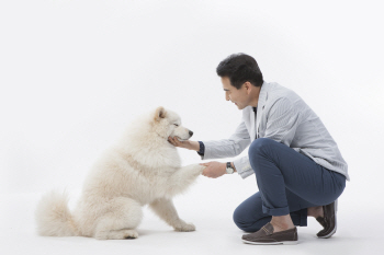 "개가 계속 숨을 헐떡인다면? 빨리 병원으로" '반려견 증상 사전' 나와