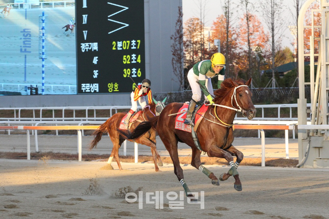 올해 최고 경주마 가린다.. '그랑프리' 우승컵 주인공은?