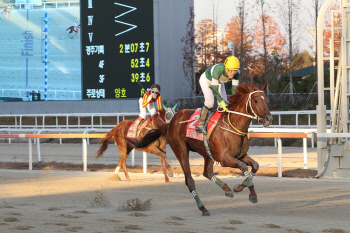 올해 최고 경주마 가린다.. '그랑프리' 우승컵 주인공은?