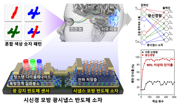 색상·형태 동시 학습 시신경 모방 광시냅스 반도체 소자 개발