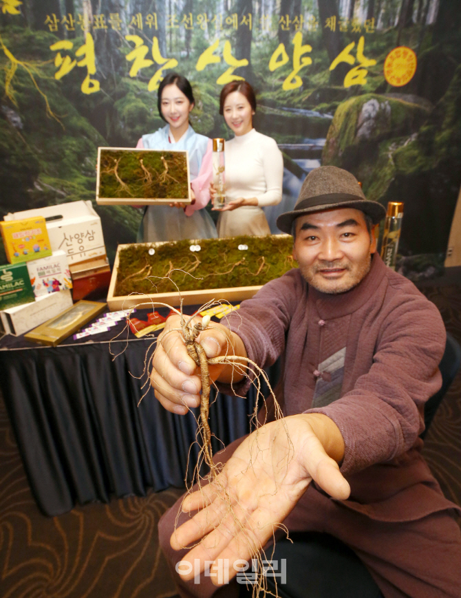 [포토]자연의 결실, 산양삼 맛보세요!