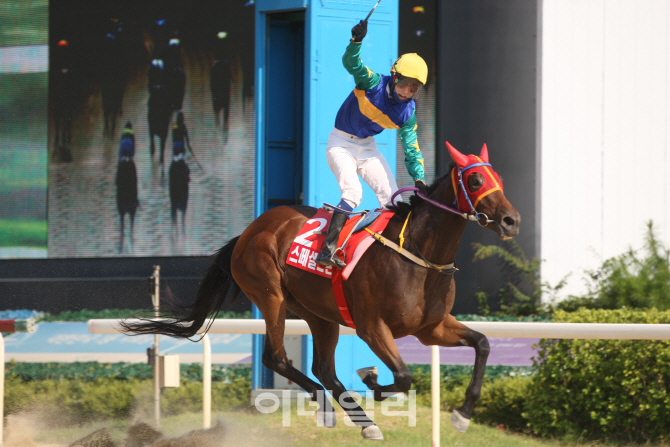 서울vs부경, 팽팽한 3대 3 대결.. 2018년 시리즈 경주 종료