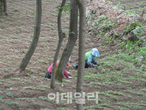 산림청, 국유품종 통상실시 계약 추진…신품종 보급 확대