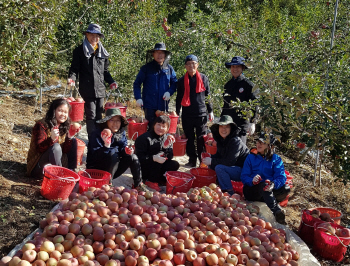"사과·배 사먹기 부담되네".. 올해 봄여름 이상기온에 생산량 감소