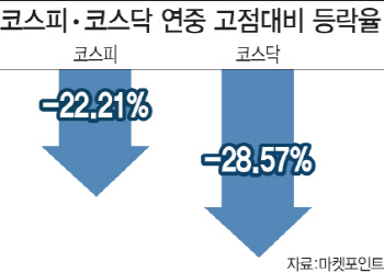 올해 20% 이상 빠진 증시…개미들 ‘잊고 싶은 한해’