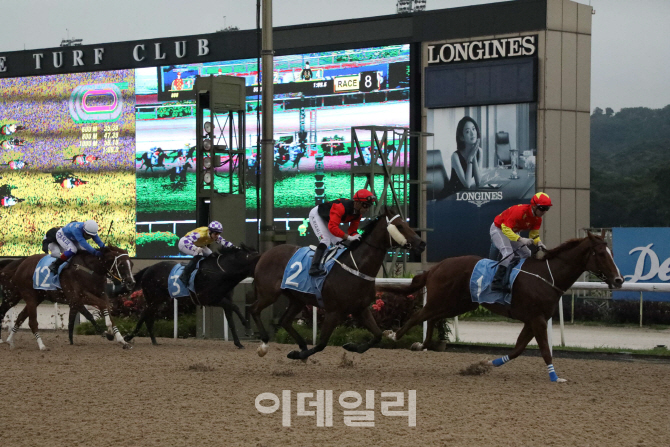 국산마 외산마 넘었다… 2018년 한국경마 10대 뉴스는?