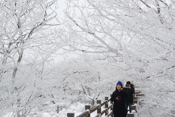 '설국으로 변한 한라산'