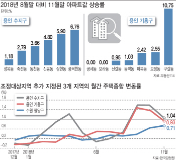 "12년째 집값 그대로인데, 조정대상지역 왜 묶나"