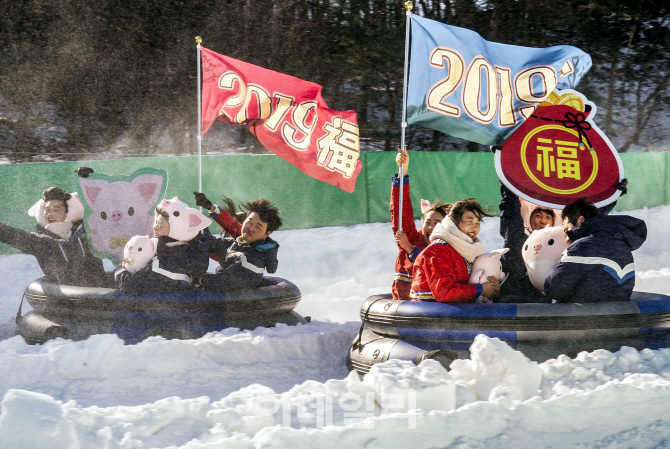 [포토] 웰컴 2019 황금돼지해