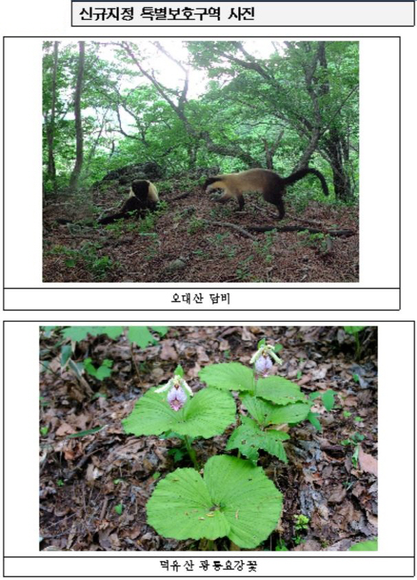 국립공원 특별보호구역 9곳 신규지정…2037년까지 멸종위기종 관리