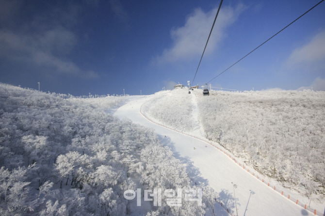 하이원리조트, '한국관광 100선' 선정