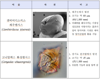 국내 연구진 해양 단세포 생물 2종 발견.."어패류 기생충 천적"