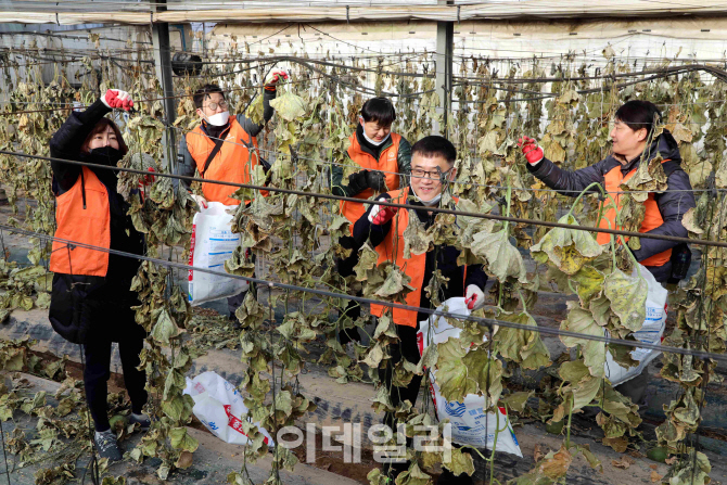 한화그룹 신임임원 94명, 농촌 일손돕기 봉사활동