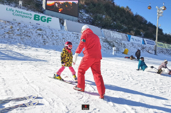 평창 동계올림픽 수호랑 반다비가 반기는 평창스키여행