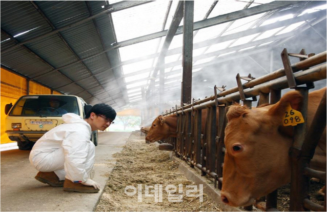 "가축도 미세먼지 노출되면 아파요"