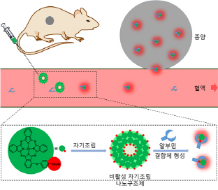 국내 연구진, 단일 분자로 암 치료와 진단 동시 방법 개발